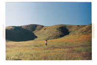 a person standing in a field of flowers